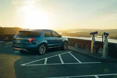 Download Helianthus Sunflowers Awesome Wallpapers Gallery ...