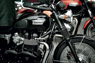 2011 Triumph BonnevilleClassics.jpg