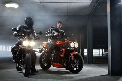 Vilner Triumph Bulldog Images