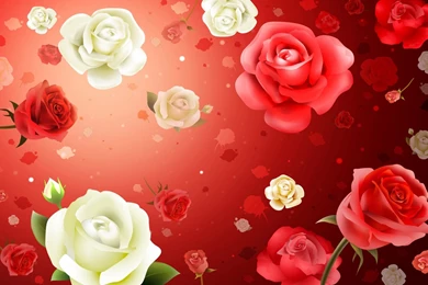Flower Beautiful Wallpapers