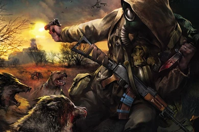 Stalker Call Of Pripyat Wallpapers For Widescreen Desktop PC ...