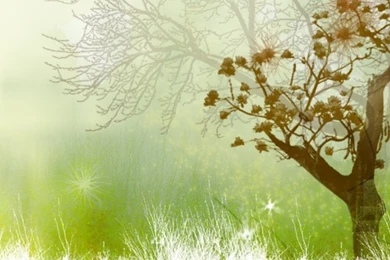 Index Of /~crumpkirklandfamily/images