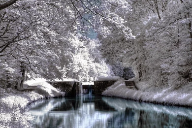 Top Beautiful Winter Wallpapers In Wallpapers