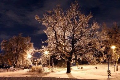 Free Wallpapers: Most Beautiful Winter Night Places Hq Wallpapers ...