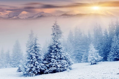 Beautiful Winter wallpaper 17.jpg