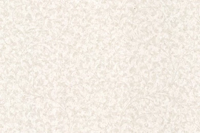 Emperor Neutral Scroll Print Wallpapers Bolt   Traditional ...