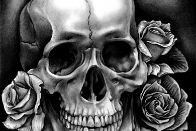 Skulls And Roses Wallpapers   Wallpapers HD Base
