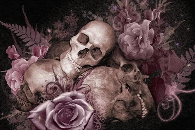 Skulls And Roses Abstract Nonsense Hd Wallpapers   (