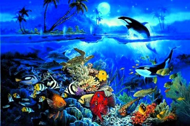 Underwater Ocean Backgrounds, Wallpaper, Underwater Ocean ...