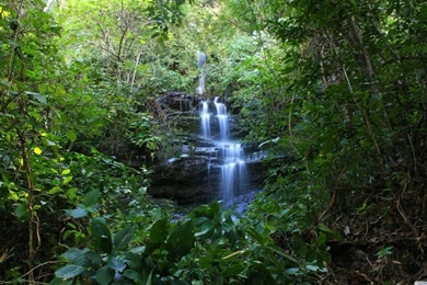 Tropical Waterfall Hd Wallpapers Collection