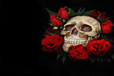Skulls And Roses Wallpapers   Wallpapers HD Base