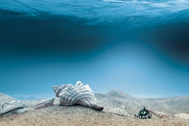 Underwater Ocean   Wallpaper.