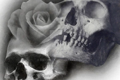 Skull And Roses 2 By RodgerPister On DeviantArt
