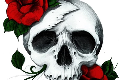 DeviantArt: More Like Skull And Roses By Wolf lover884