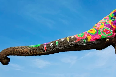 Wallpapers Sky, Holiday, Paint, Elephant, Trunk Desktop Wallpapers ...