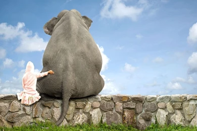 17 Best Friend Wallpapers