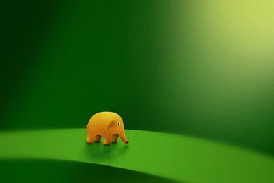 1152x864 Micro Elephant Desktop PC And Mac Wallpapers