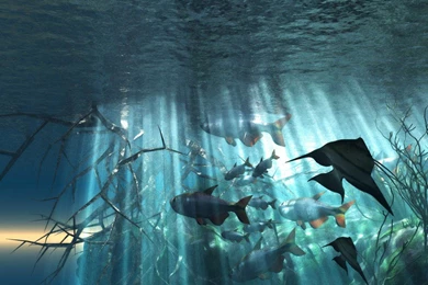 Ocean Underwater Graphic