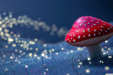 Second Element Of The Fireflies Hd Cartoon Desktop Wallpapers ...