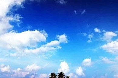 Nature Cell Phone Wallpapers Hd Mobile Wallpapers Iphone Wallpapers ...