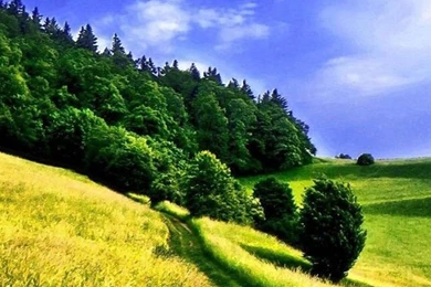 Nature iPhone 6 Plus Wallpapers 78