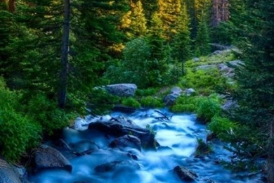 Wallpapers Hd Iphone 5 Nature Iphone Wallpapers Nature Hd ...