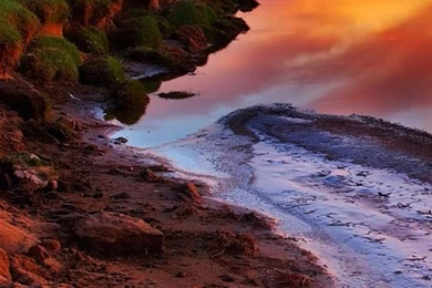 Nature iPhone 6 Plus Wallpapers 99