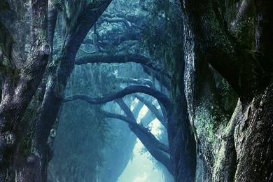 Iphone Wallpapers Hd Nature