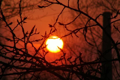 Landscape, Nature, Incredible, Background, Photography (