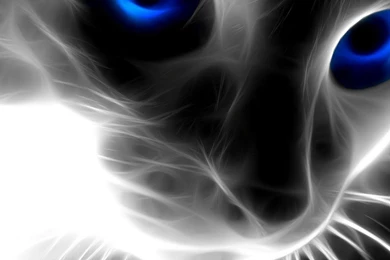 40 Incredible iPad Backgrounds