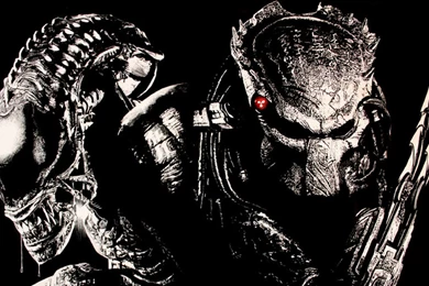 Alien Vs Predator Wallpapers   Wallpapers Cave