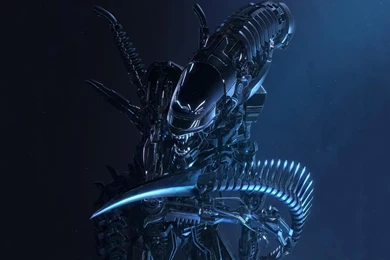 Avp Xenomorph Wallpapers   (