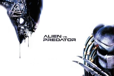 Wallpapers Movies > Wallpapers Alien Vs Predator AVP Wallpapers By ...