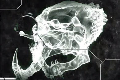 Avp Wallpapers 2 By BJayN On DeviantArt