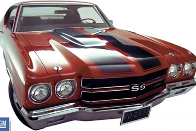 1970 Chevelle Ss 454   (