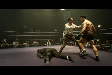 IP MAN Martial Arts Ip man T Wallpapers