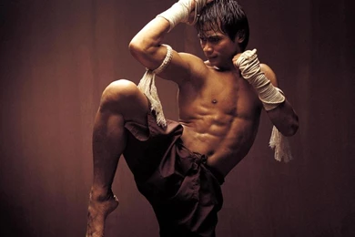 Wallpapers Ip Man Martial Art Muzic World Com 1024x768