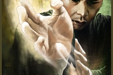 The Blind Ninja (Donnie Yen   Ip Man Art)