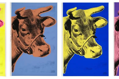 Andy Warhol: Cows