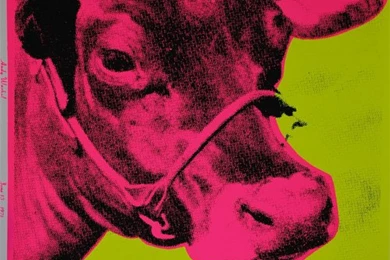 Andy Warhol Cow Print Signed Images