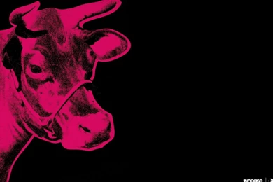 Cow wallpaper by andy warhol 80 58558 Desktop Wallpapers