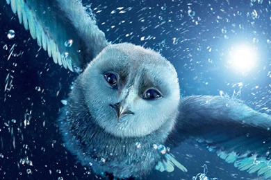 Animal Wallpapers For Ipad