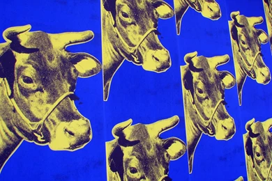 Blue Cow   Andy Warhol
