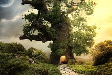 HD Fabulous Fantasy Tree Wallpapers Full Size   HiReWallpapers 1437