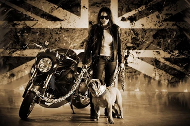 Triumph Speed ​​three Bulldog Custom Edition Motorcycle Wallpapers ...