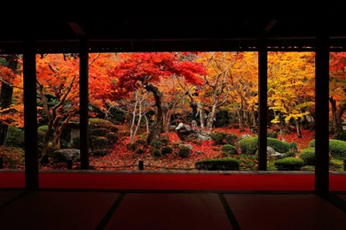 Gorgeous Autumn Enkoji Temple Autumn Wallpapers   1920x1200 ...