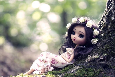 Gorgeous Toy Doll Wallpapers