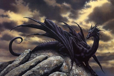 3d Dragon Wallpapers   Wallpapers Cave