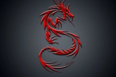 Dragon Wallpapers Hd Collection (44+)