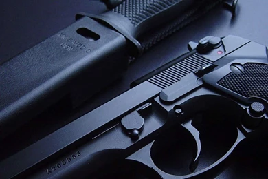 Wallpapers Gun   Wallpapers Zone